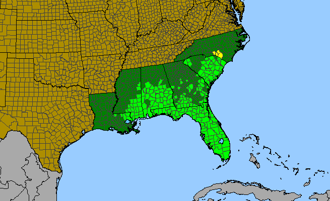 The range of Asemeia grandiflora